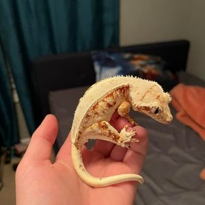 Meet your Posher, Andy